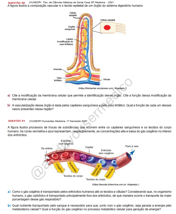 KIT 2 APOSTILAS QUESTÕES ABERTAS DISCURSIVAS DA VUNESP ( BIOLOGIA+ QUÍMICA) - Image 7