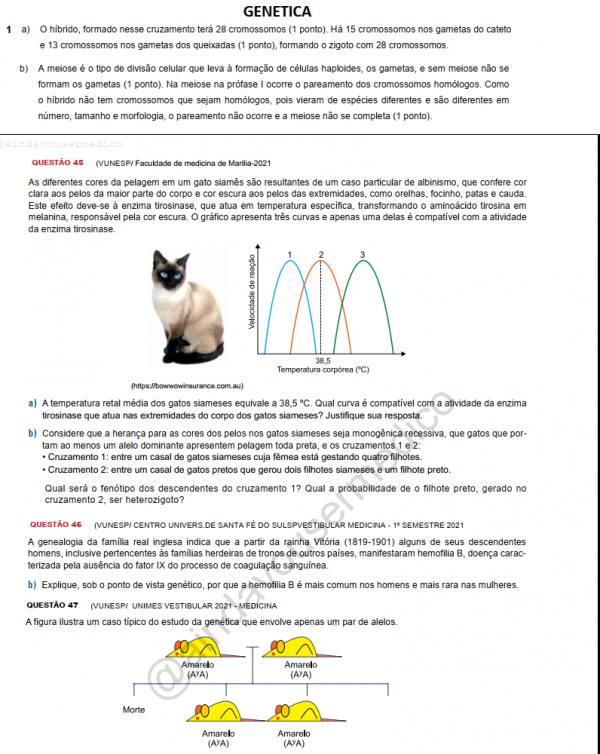 KIT 2 APOSTILAS QUESTÕES ABERTAS DISCURSIVAS DA VUNESP ( BIOLOGIA+ QUÍMICA) - Image 5